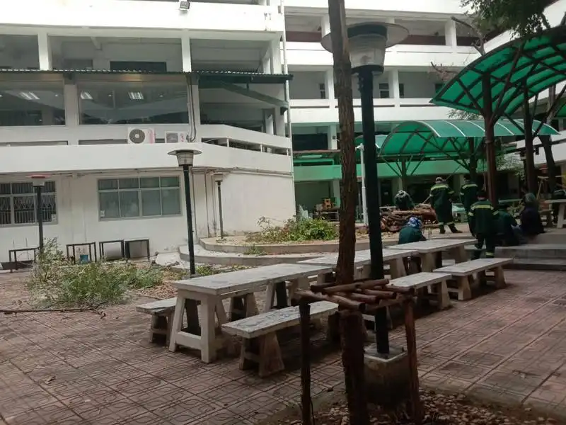 คณะครุศาสตร์อุตสาหกรรม ดำเนินการตัดแต่งกิ่งไม้ใหญ่ อาคาร 52 เตรียมพร้อมรับมือฤดูฝนและเสริมสร้างภูมิทัศน์