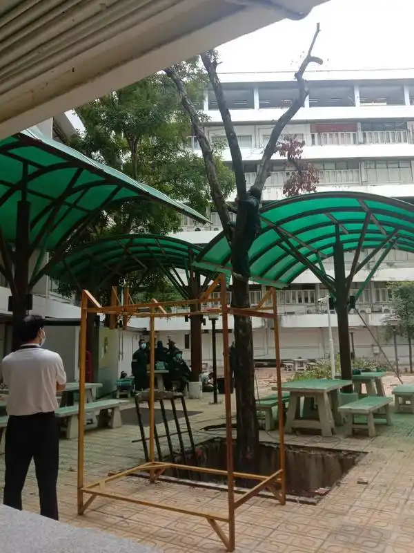 คณะครุศาสตร์อุตสาหกรรม ดำเนินการตัดแต่งกิ่งไม้ใหญ่ อาคาร 52 เตรียมพร้อมรับมือฤดูฝนและเสริมสร้างภูมิทัศน์