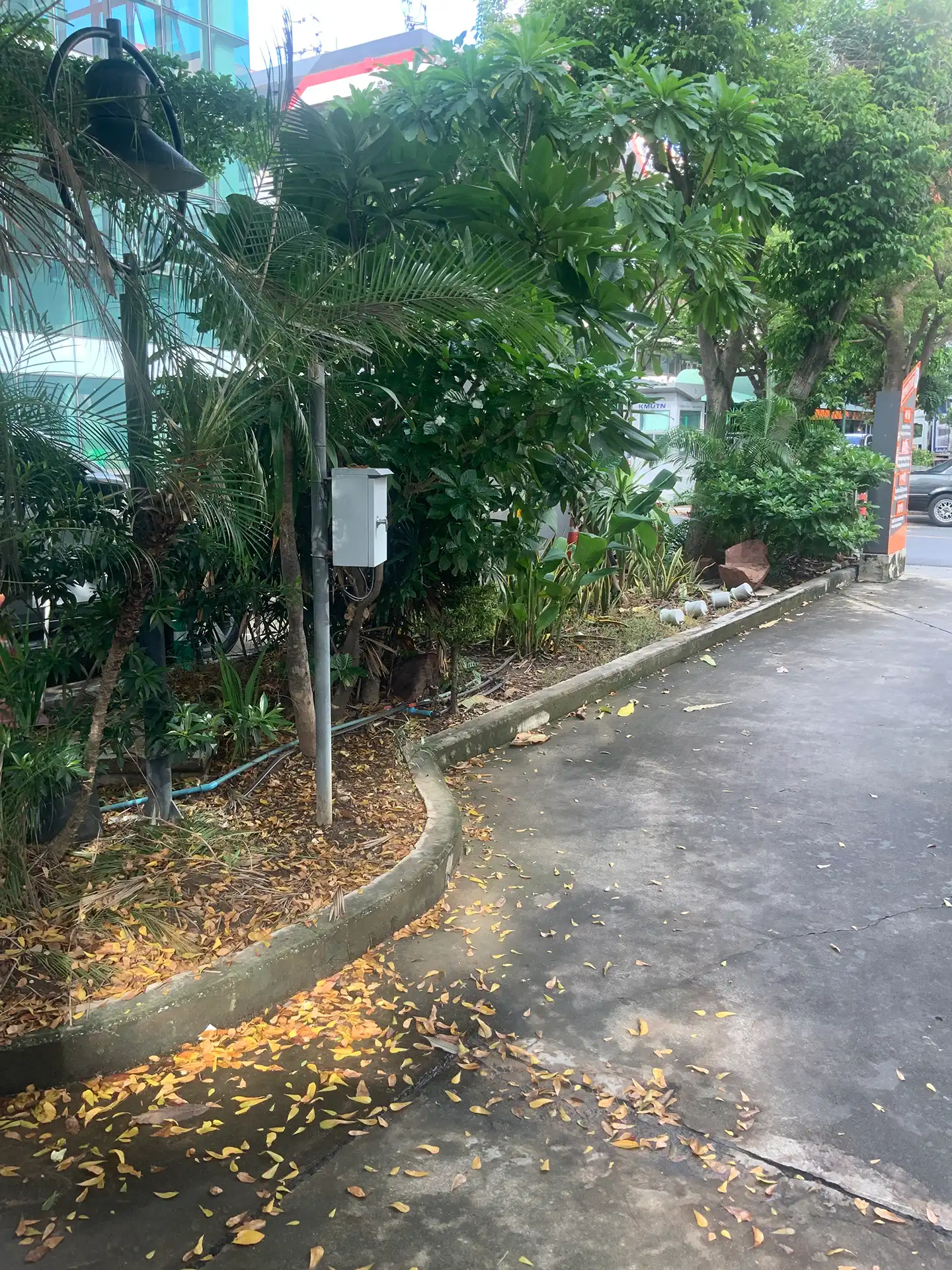 ปรับภูมิทัศน์สวนหย่อมและพื้นที่โดยรอบอาคาร 52 สร้างสภาพแวดล้อมให้น่าอยู่อย่างยั่งยืน